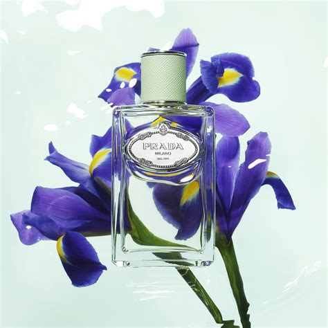 iris bianco prada|prada iris fragrance.